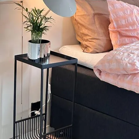 Eksklusiv Enebolig *