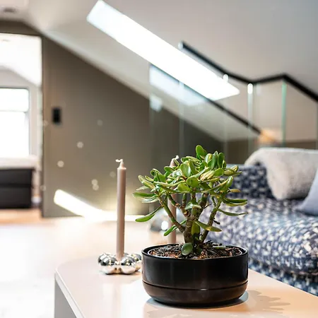 Eksklusiv Enebolig *